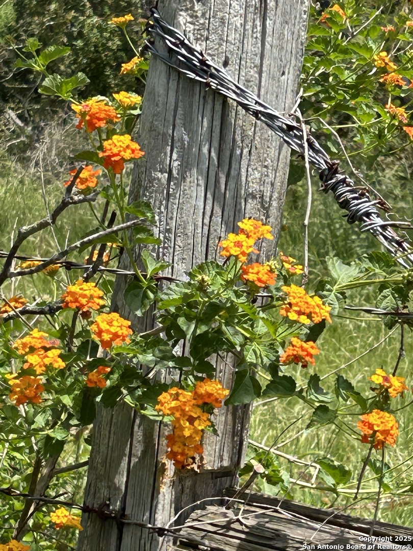 1912 Seminole Trail Dale TX 78616