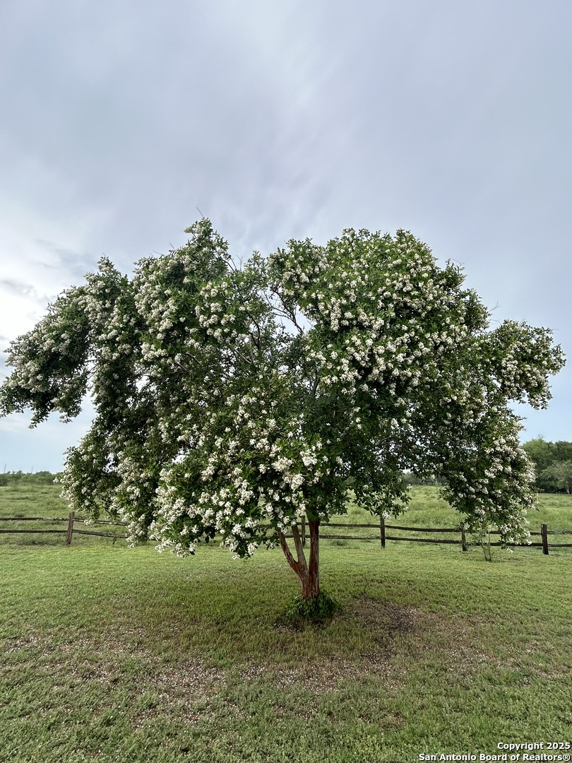 1912 Seminole Trail Dale TX 78616