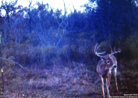 1912 Seminole Trail Dale TX 78616