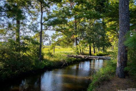 1031 Angel Lake Estates Alleyton TX 78935