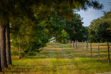 1031 Angel Lake Estates Alleyton TX 78935