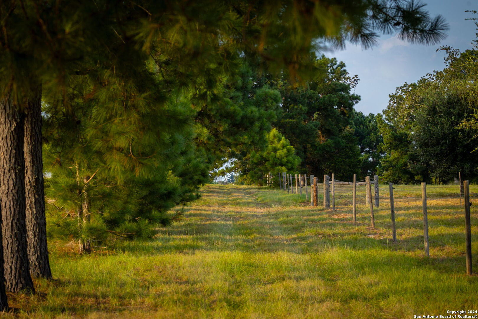 1031 Angel Lake Estates Alleyton TX 78935