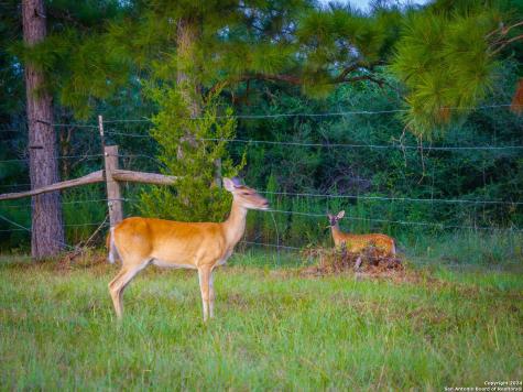 1031 Angel Lake Estates Alleyton TX 78935