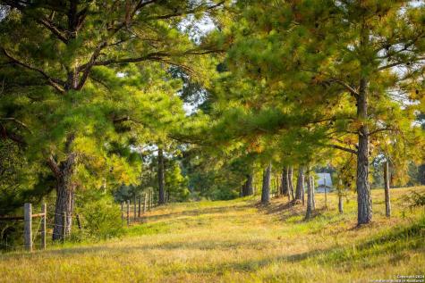 1031 Angel Lake Estates Alleyton TX 78935