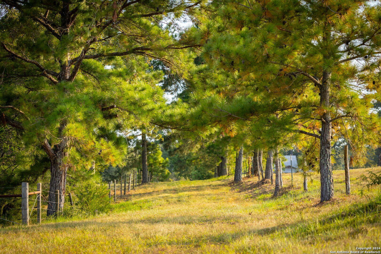 1031 Angel Lake Estates Alleyton TX 78935