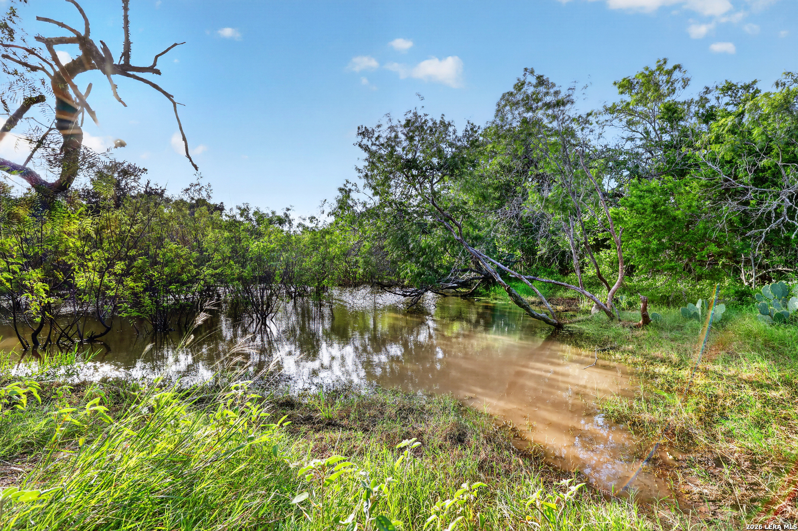 457 County Road 410 Stockdale TX 78160