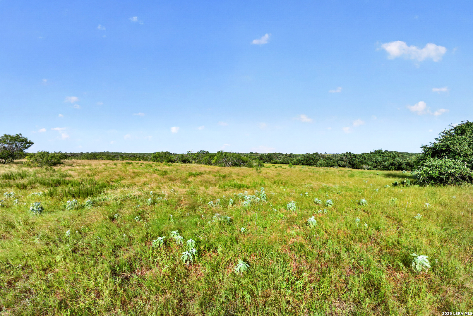 457 County Road 410 Stockdale TX 78160