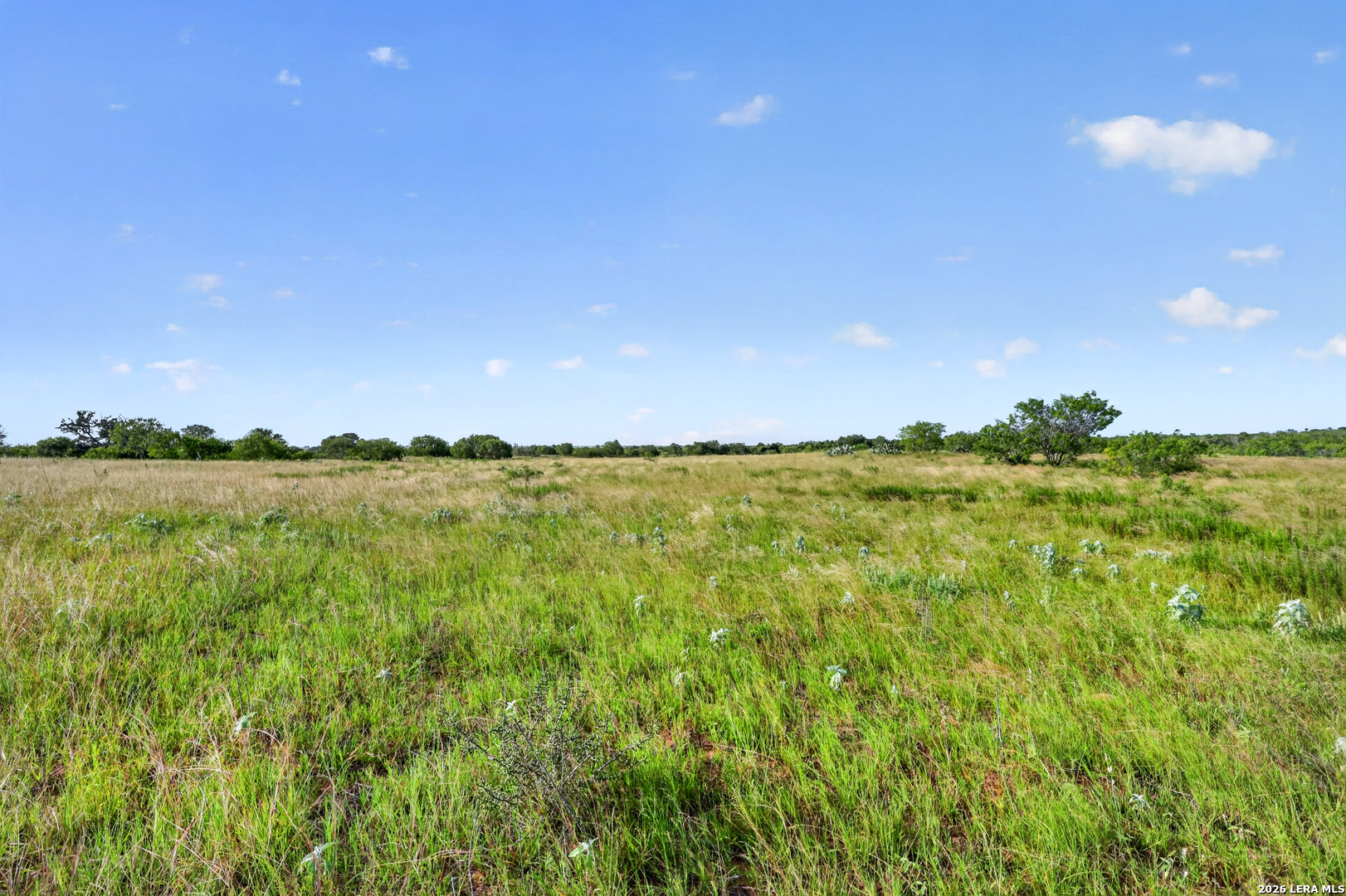 457 County Road 410 Stockdale TX 78160