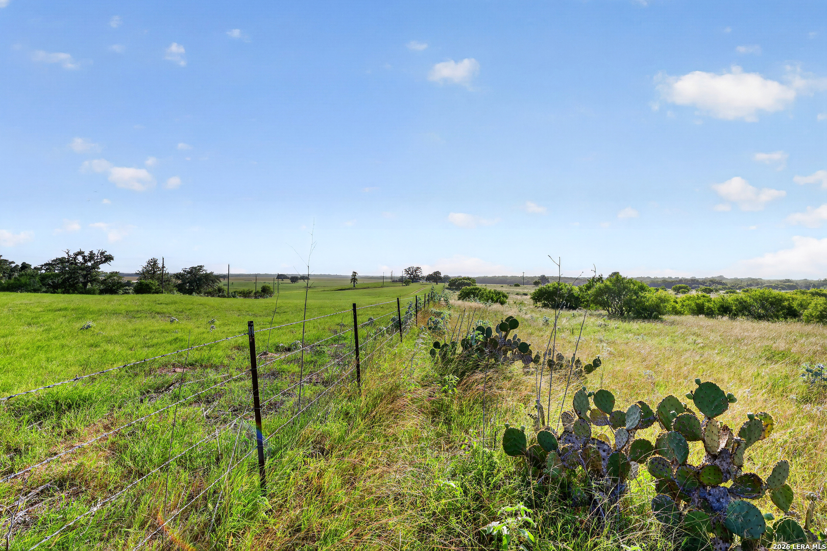 457 County Road 410 Stockdale TX 78160