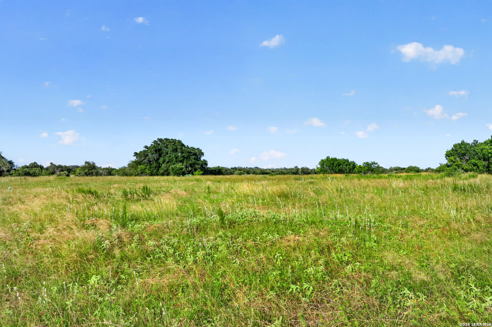 457 County Road 410 Stockdale TX 78160