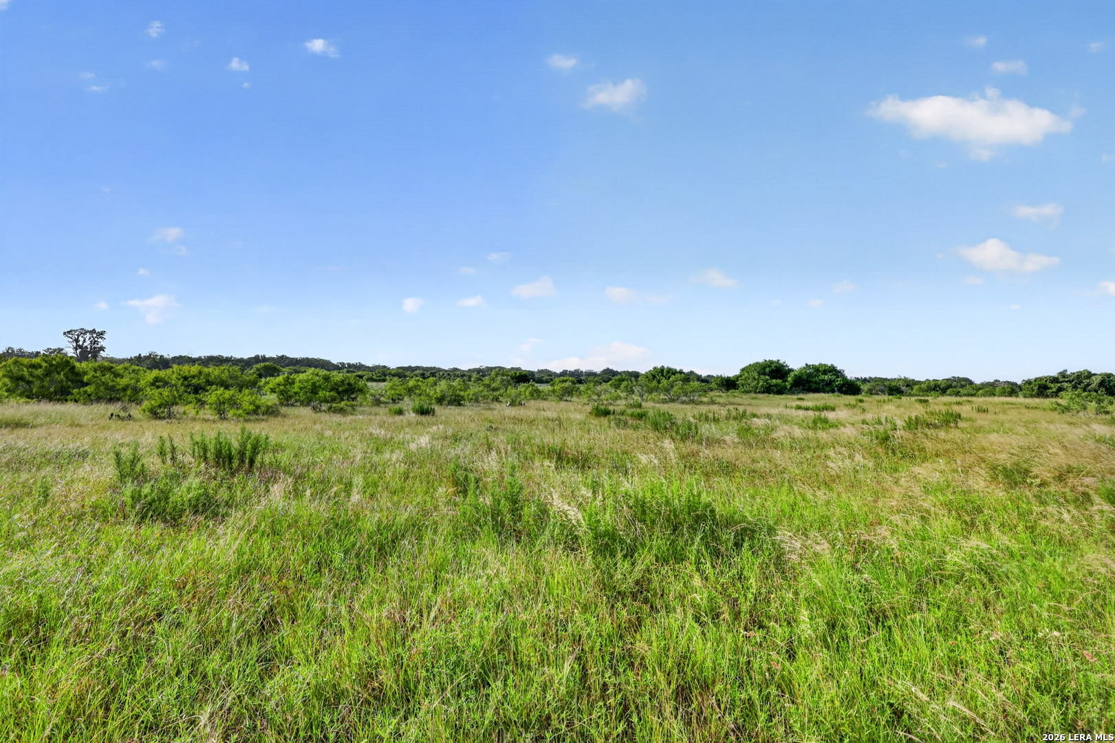 457 County Road 410 Stockdale TX 78160