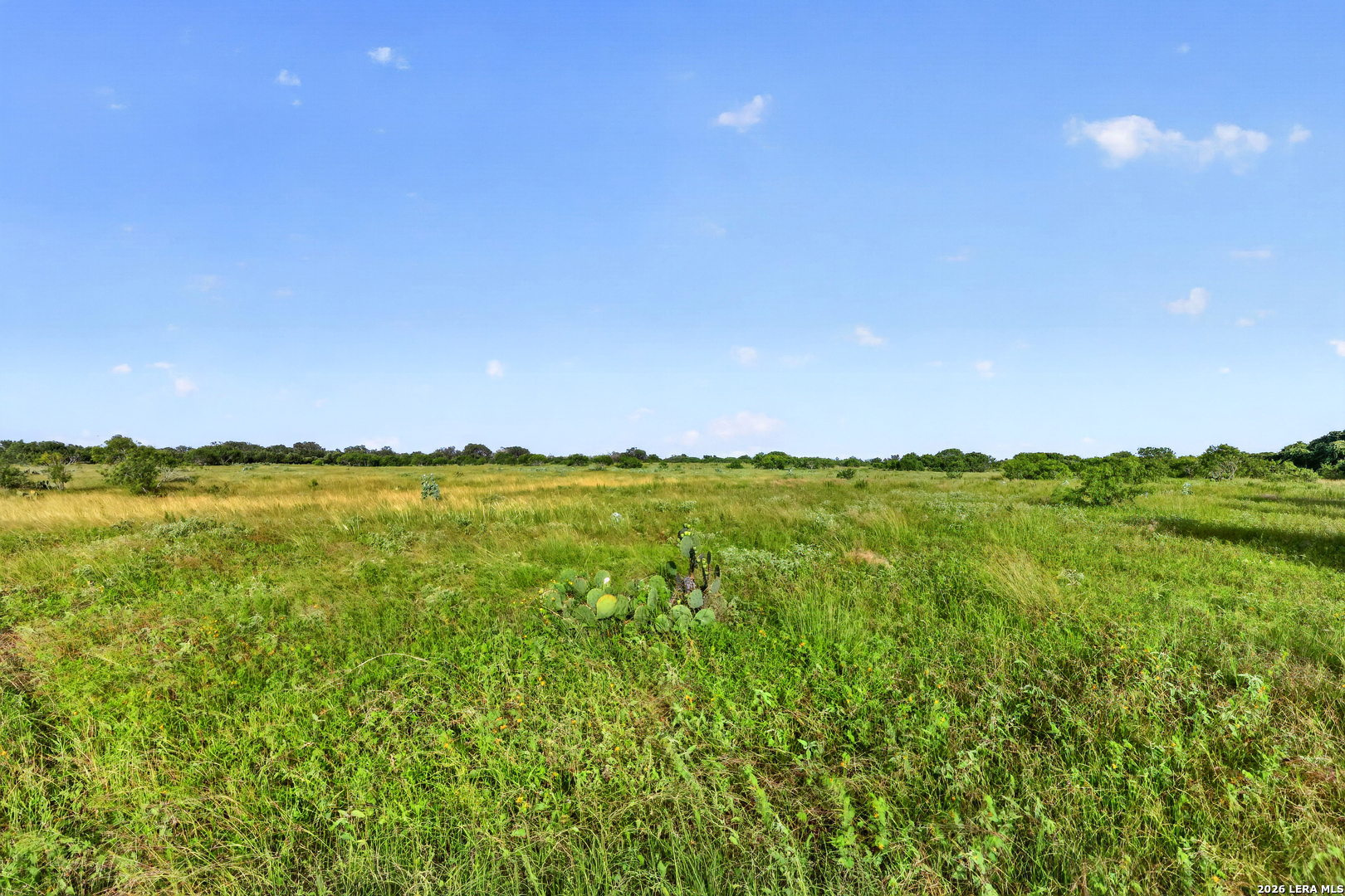 457 County Road 410 Stockdale TX 78160