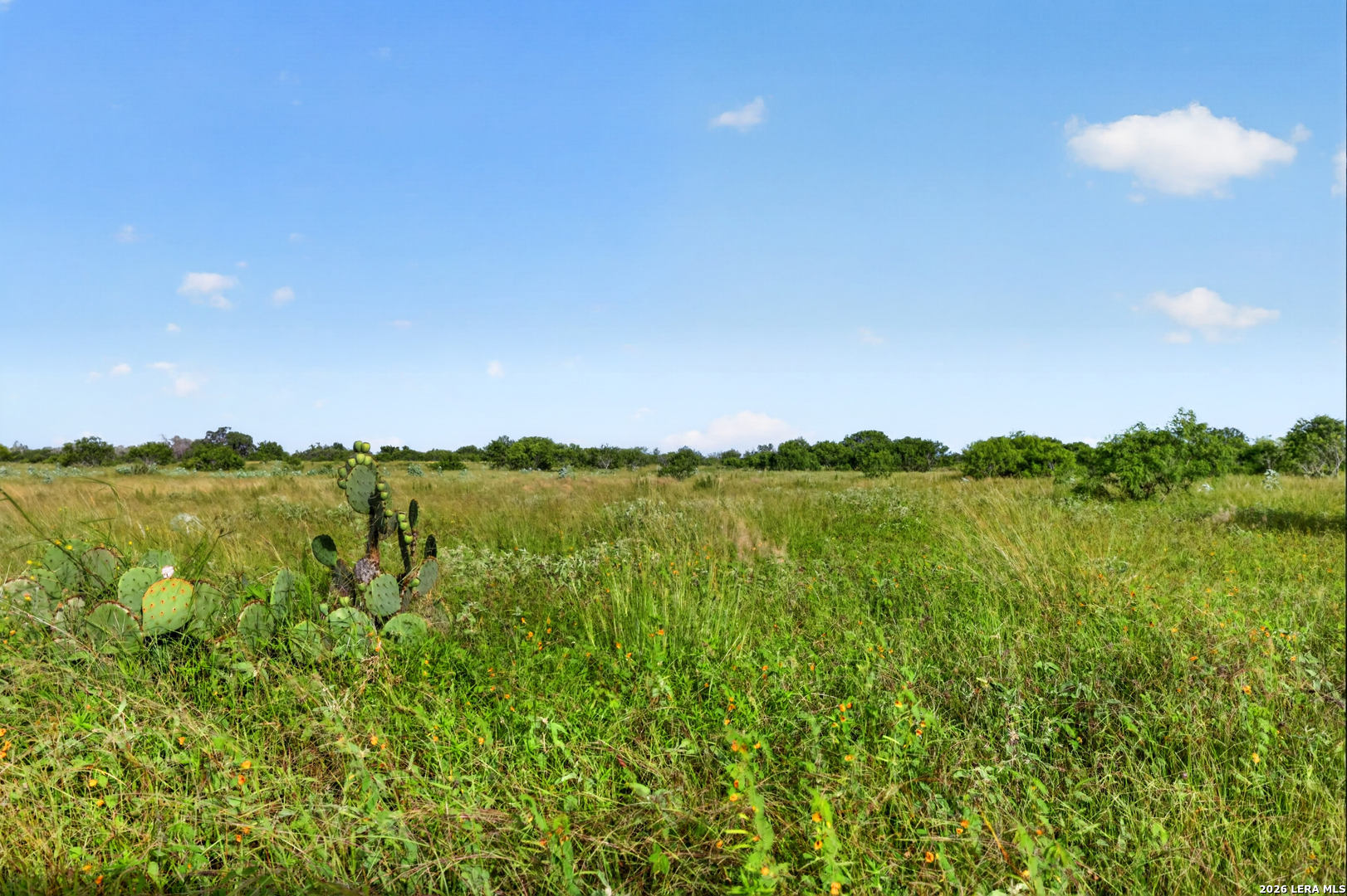 457 County Road 410 Stockdale TX 78160