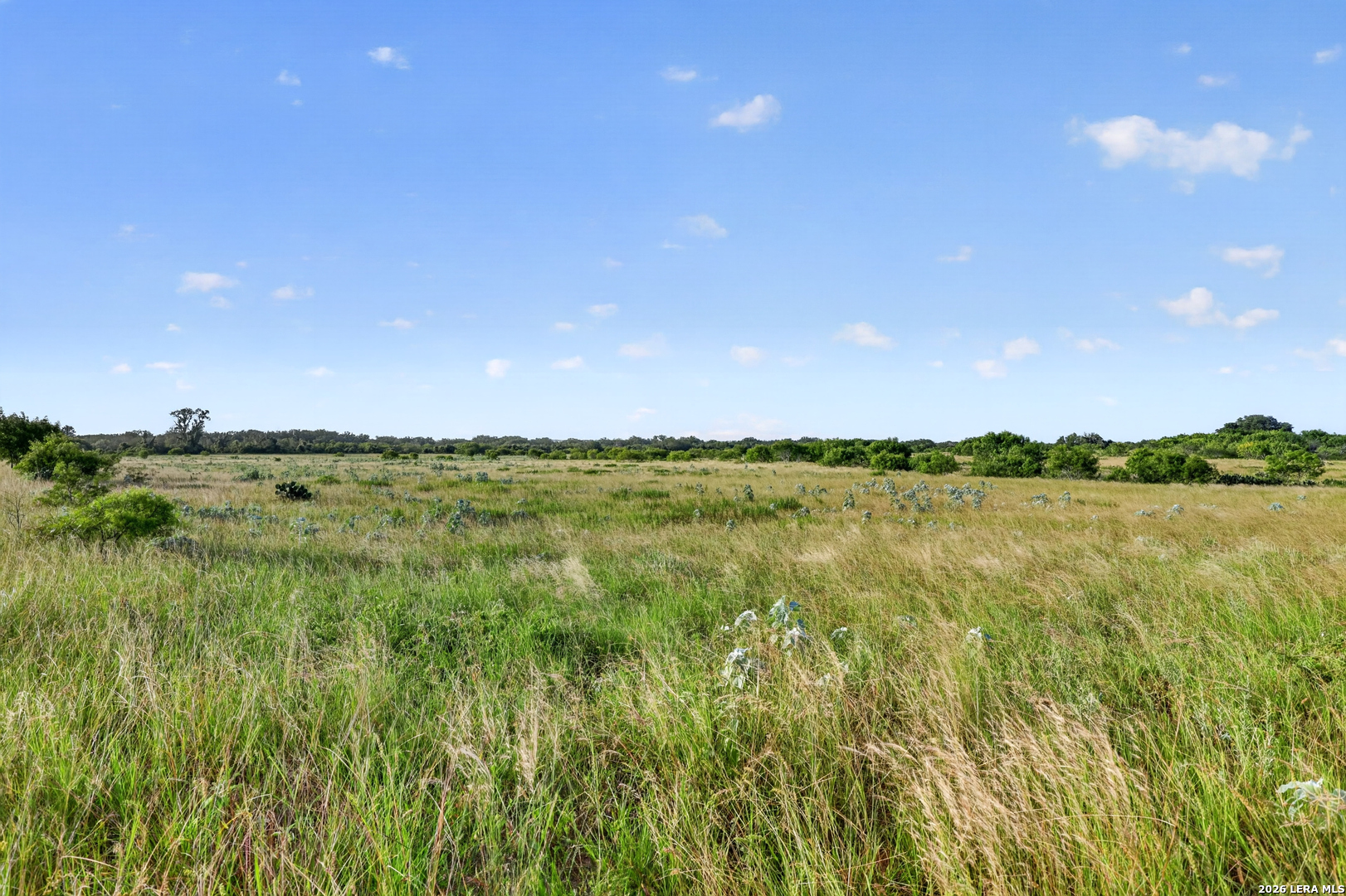457 County Road 410 Stockdale TX 78160