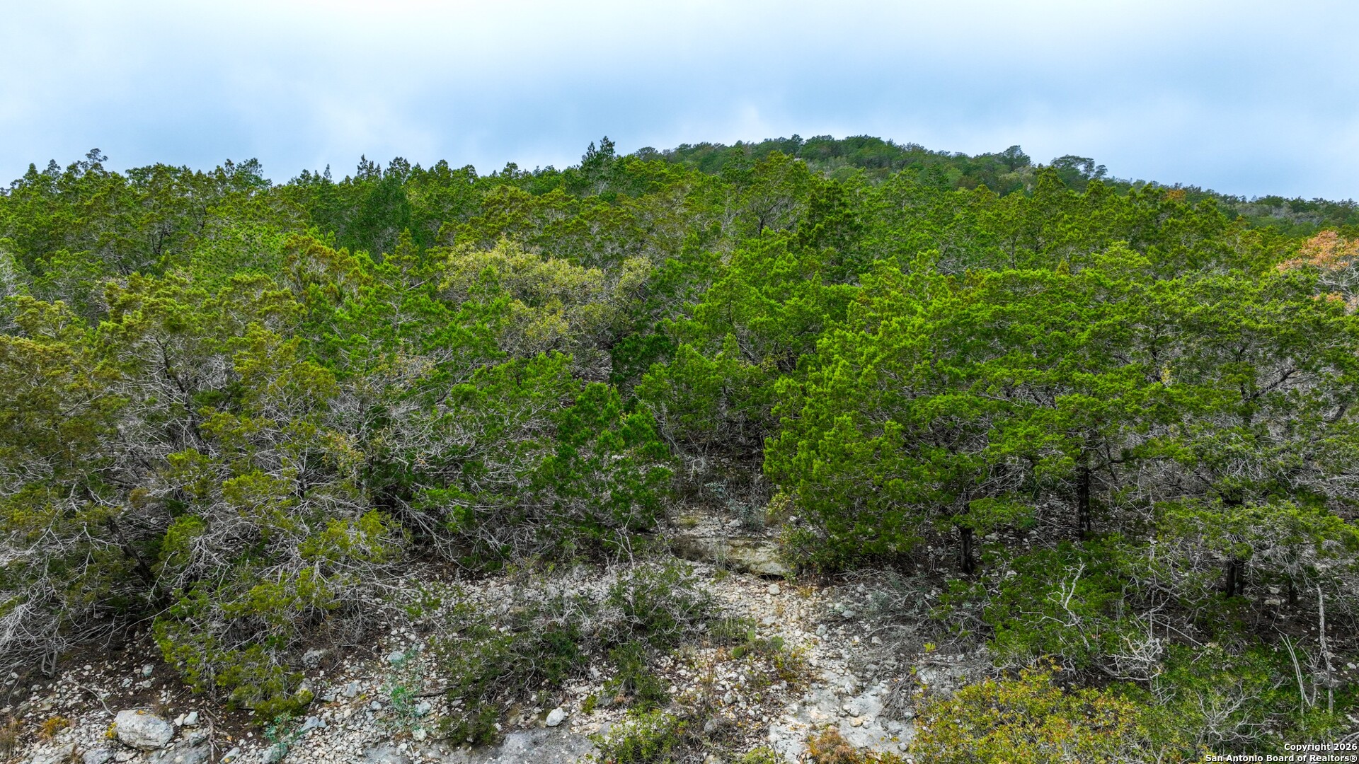 Lot 13 Wild Canyon Ranch Phase 1 Rocksprings TX 78880