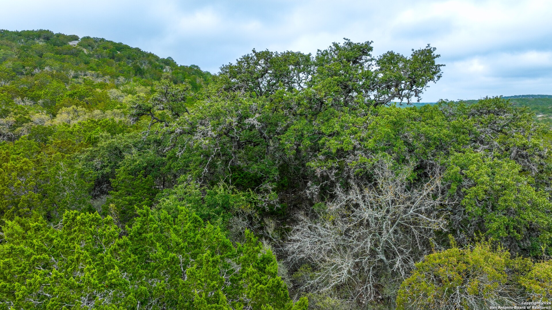 Lot 13 Wild Canyon Ranch Phase 1 Rocksprings TX 78880