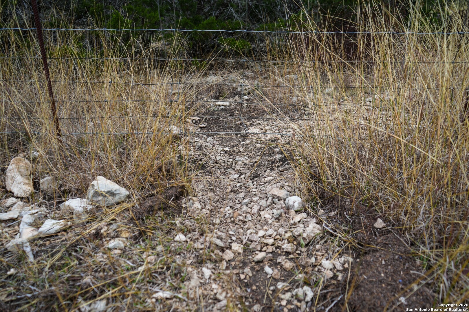 Lot 13 Wild Canyon Ranch Phase 1 Rocksprings TX 78880