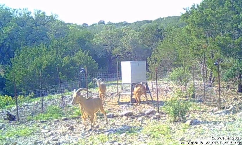 Lot 13 Wild Canyon Ranch Phase 1 Rocksprings TX 78880
