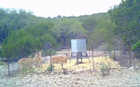 Lot 13 Wild Canyon Ranch Phase 1 Rocksprings TX 78880