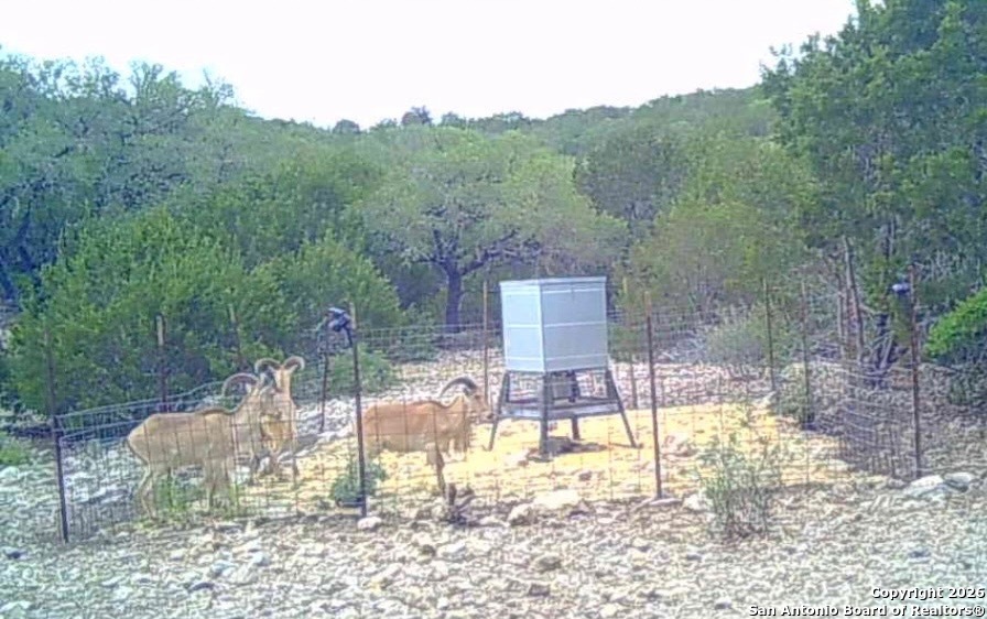 Lot 13 Wild Canyon Ranch Phase 1 Rocksprings TX 78880