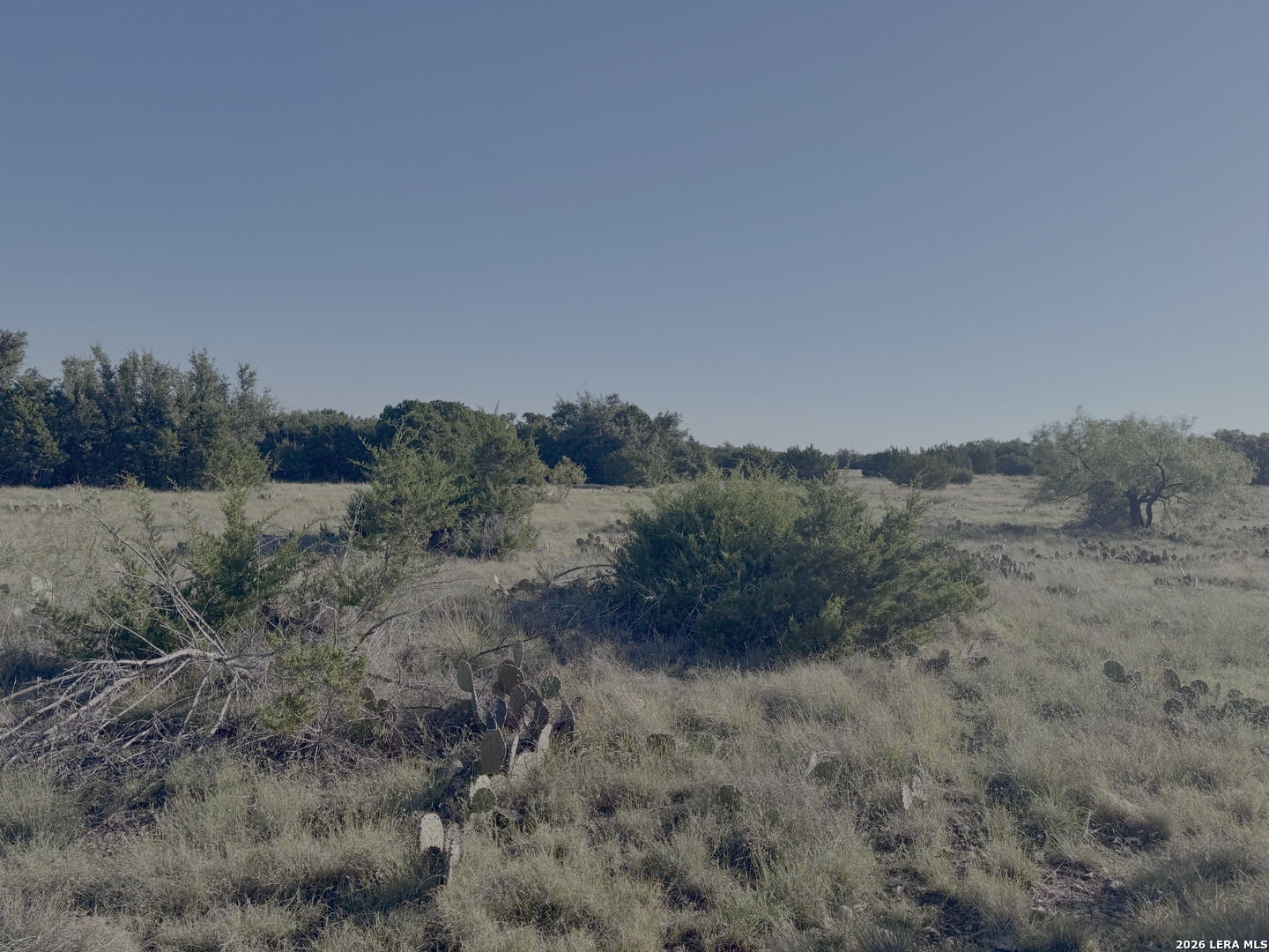 6544 Antler Drive Fort Mckavett TX 76841
