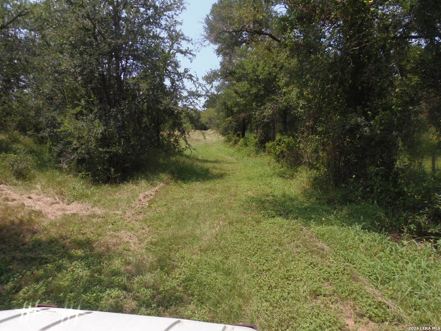 90 Romberg Road Dale TX 78616