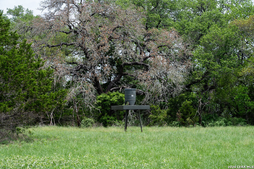 426 Mill Run New Braunfels TX 78132