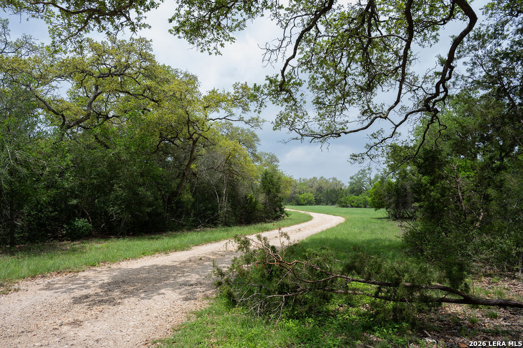 426 Mill Run New Braunfels TX 78132