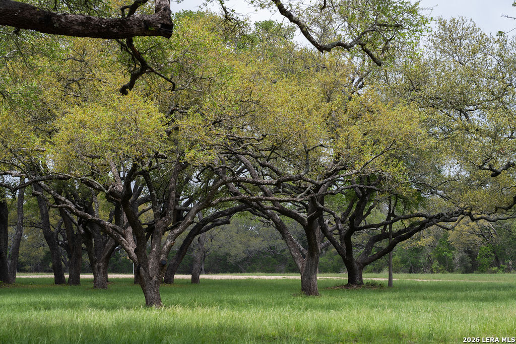 426 Mill Run New Braunfels TX 78132