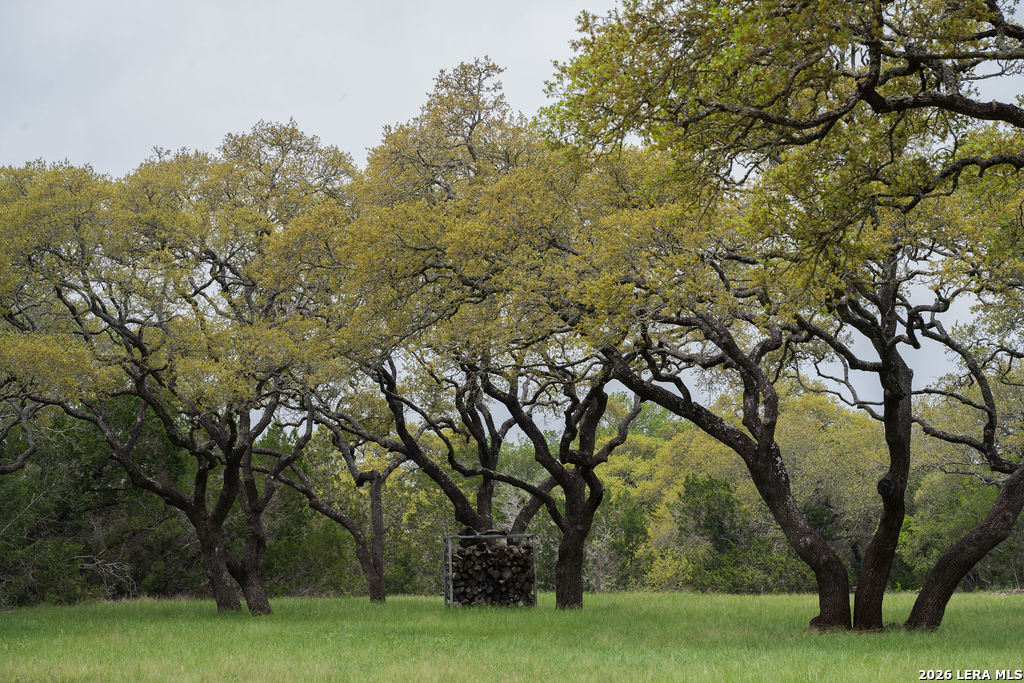 426 Mill Run New Braunfels TX 78132