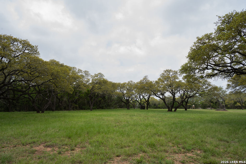 426 Mill Run New Braunfels TX 78132