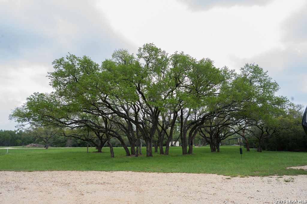 426 Mill Run New Braunfels TX 78132