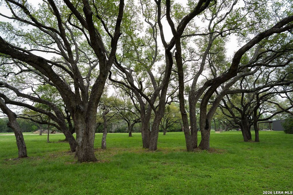 426 Mill Run New Braunfels TX 78132