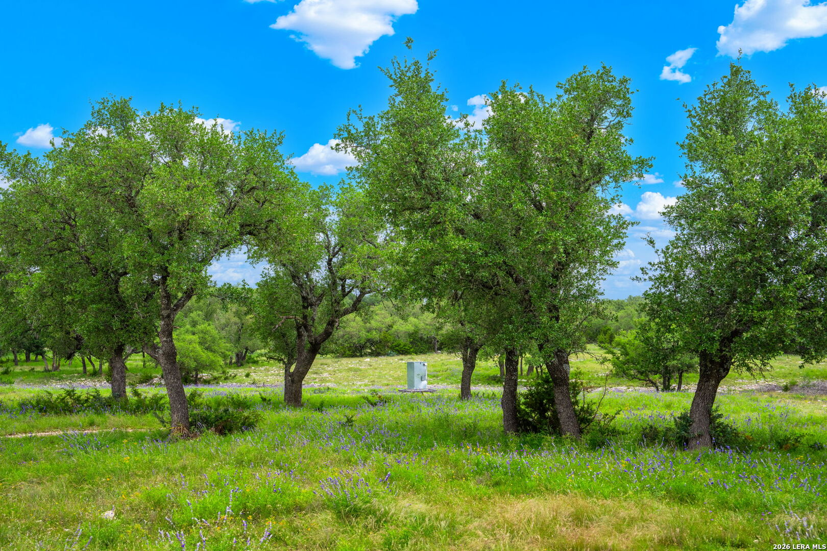 196 Scenic Hills Road Junction TX 76849