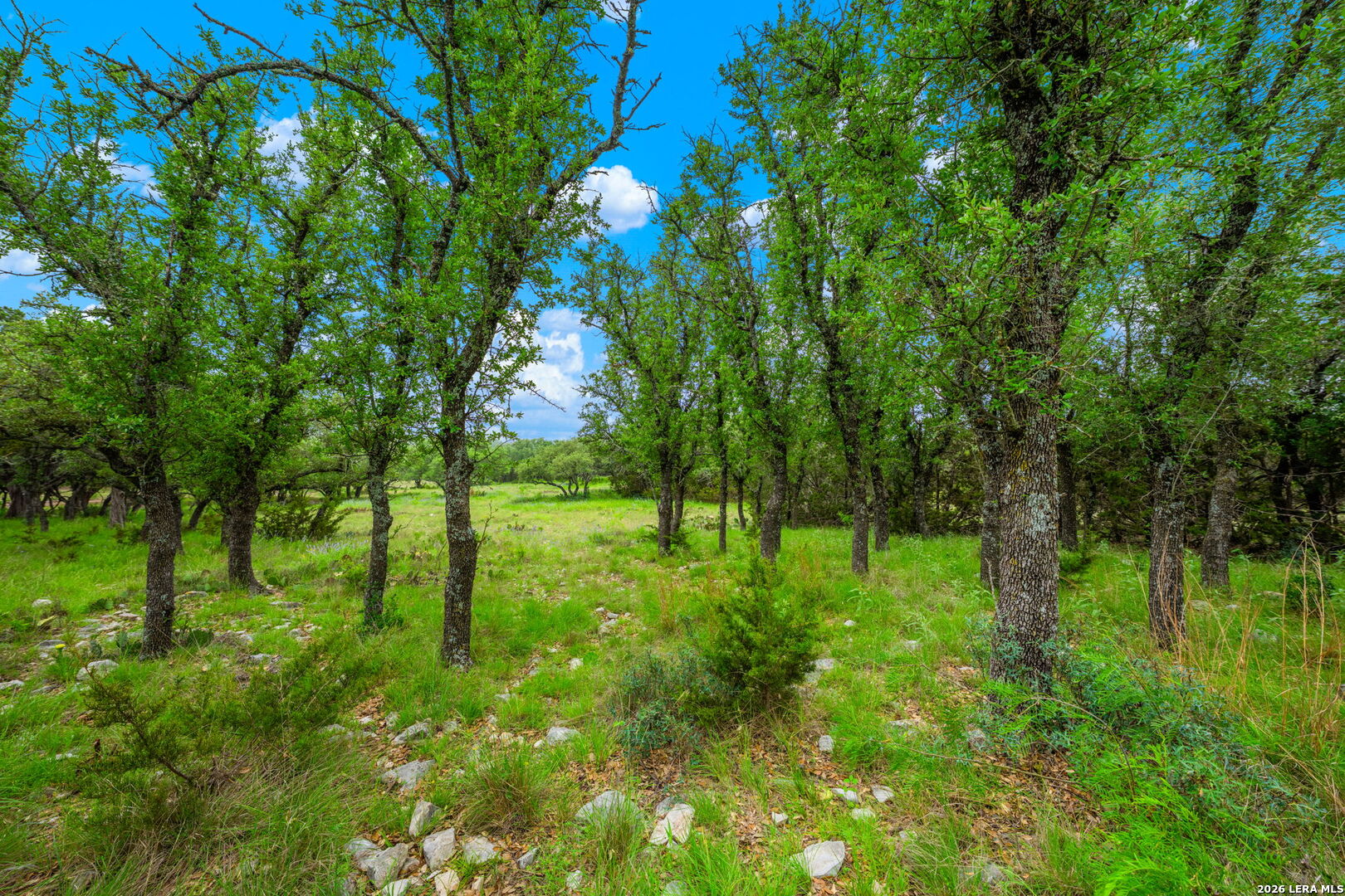 196 Scenic Hills Road Junction TX 76849