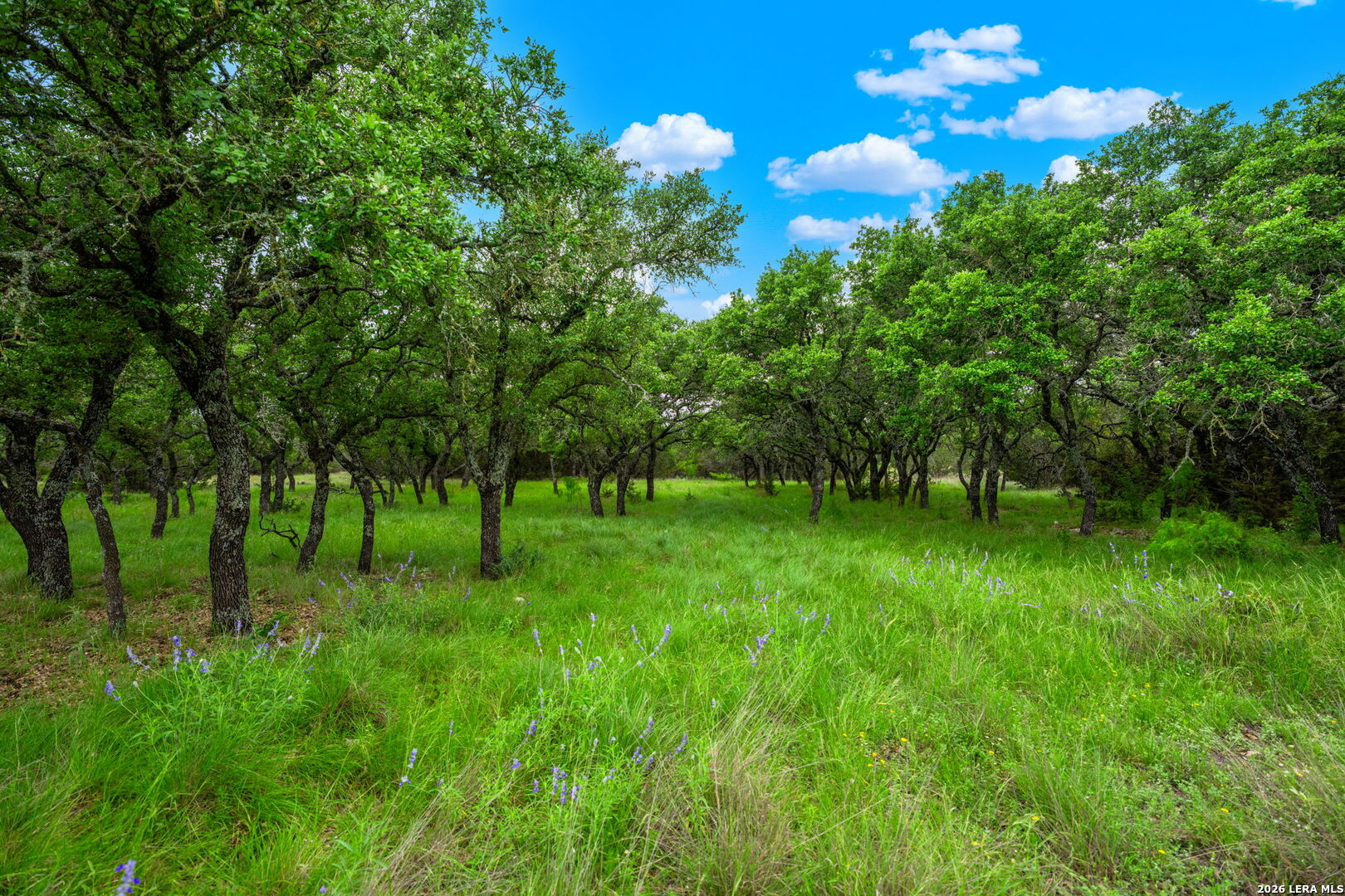 196 Scenic Hills Road Junction TX 76849