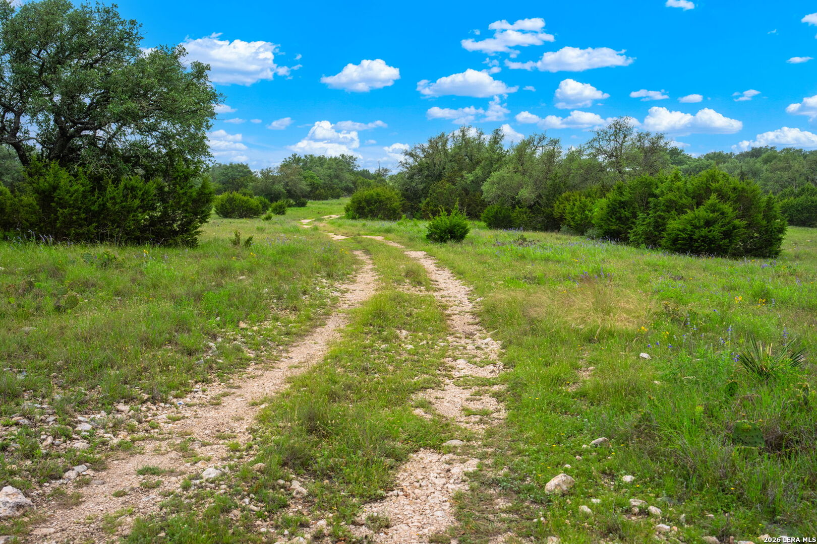 196 Scenic Hills Road Junction TX 76849