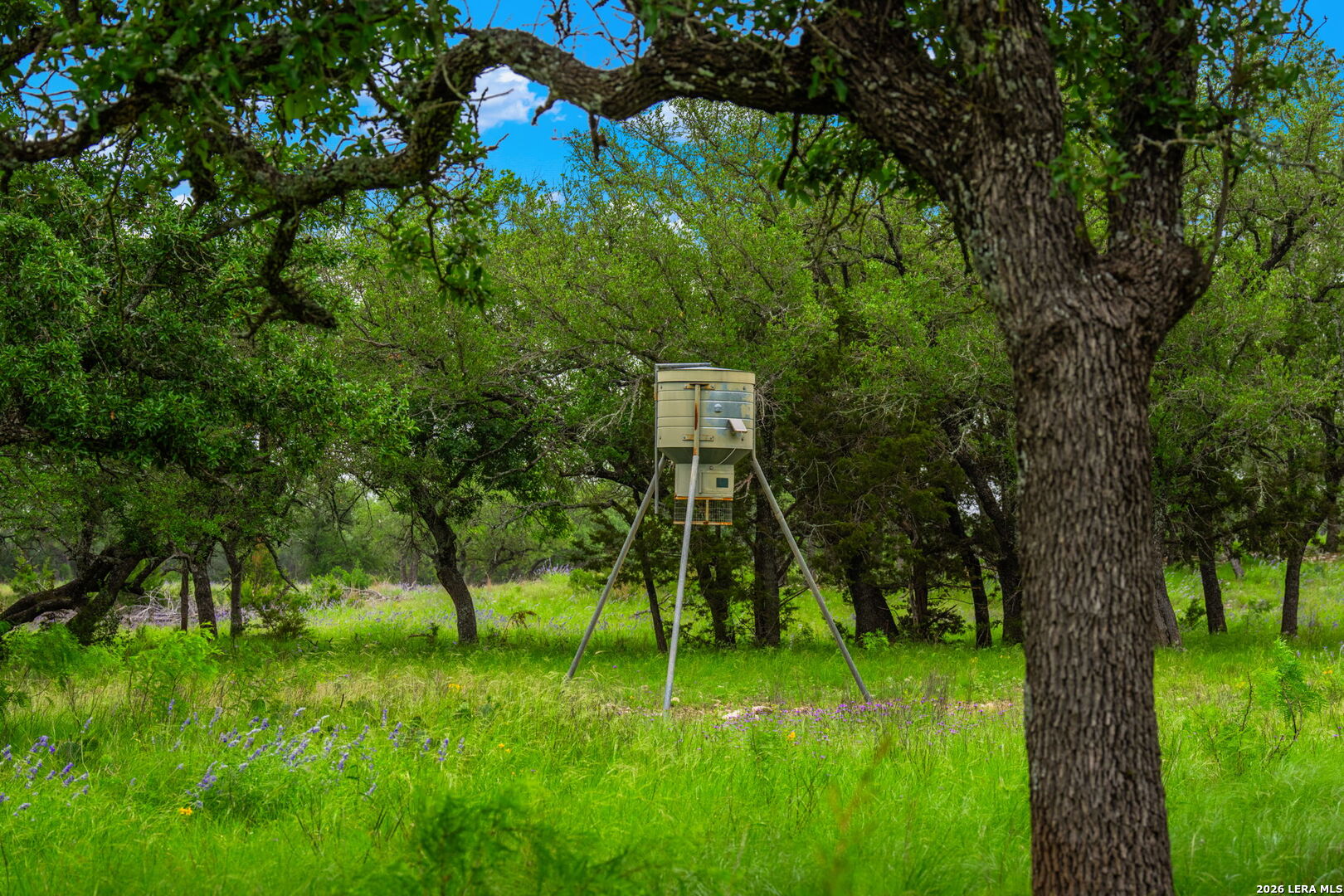 196 Scenic Hills Road Junction TX 76849