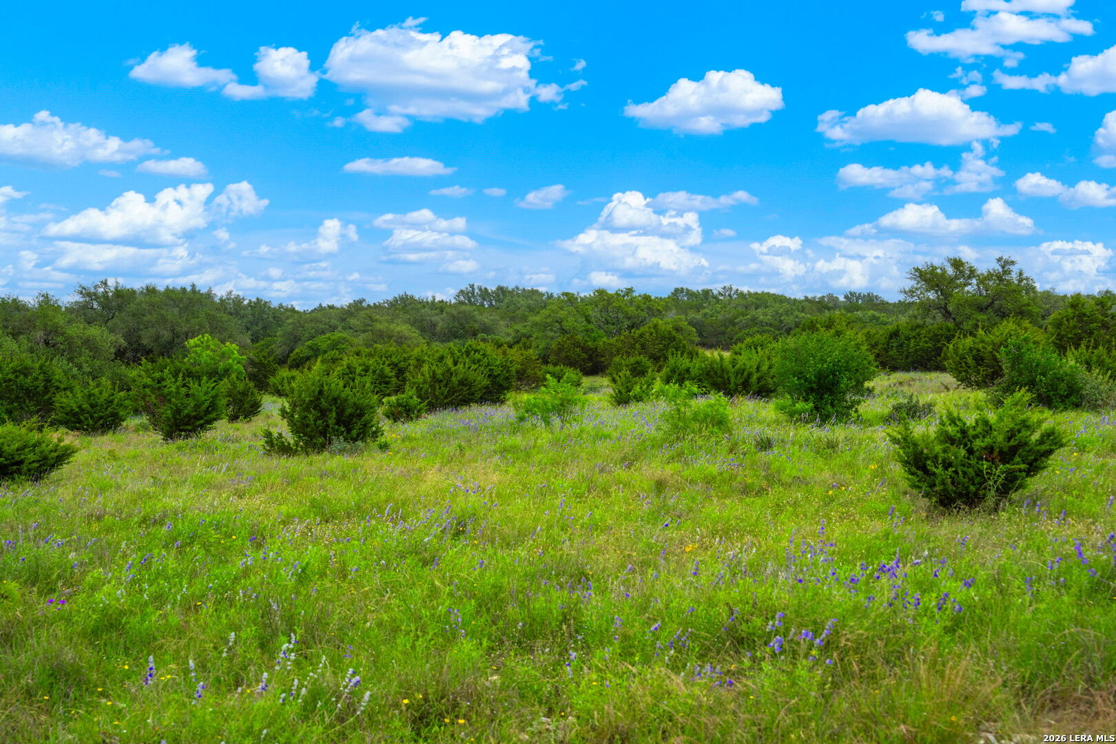 196 Scenic Hills Road Junction TX 76849