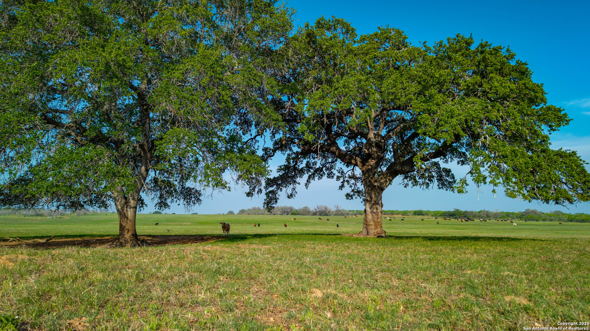 Tbd County Road 404 Floresville TX 78114