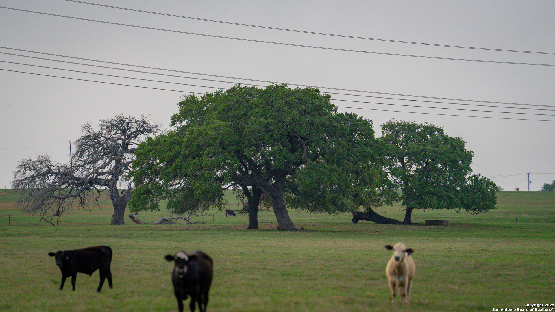 Tbd County Road 404 Floresville TX 78114