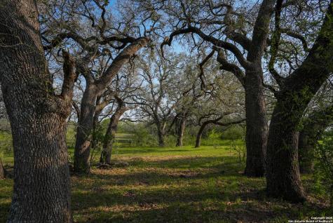 Tbd County Road 404 Floresville TX 78114