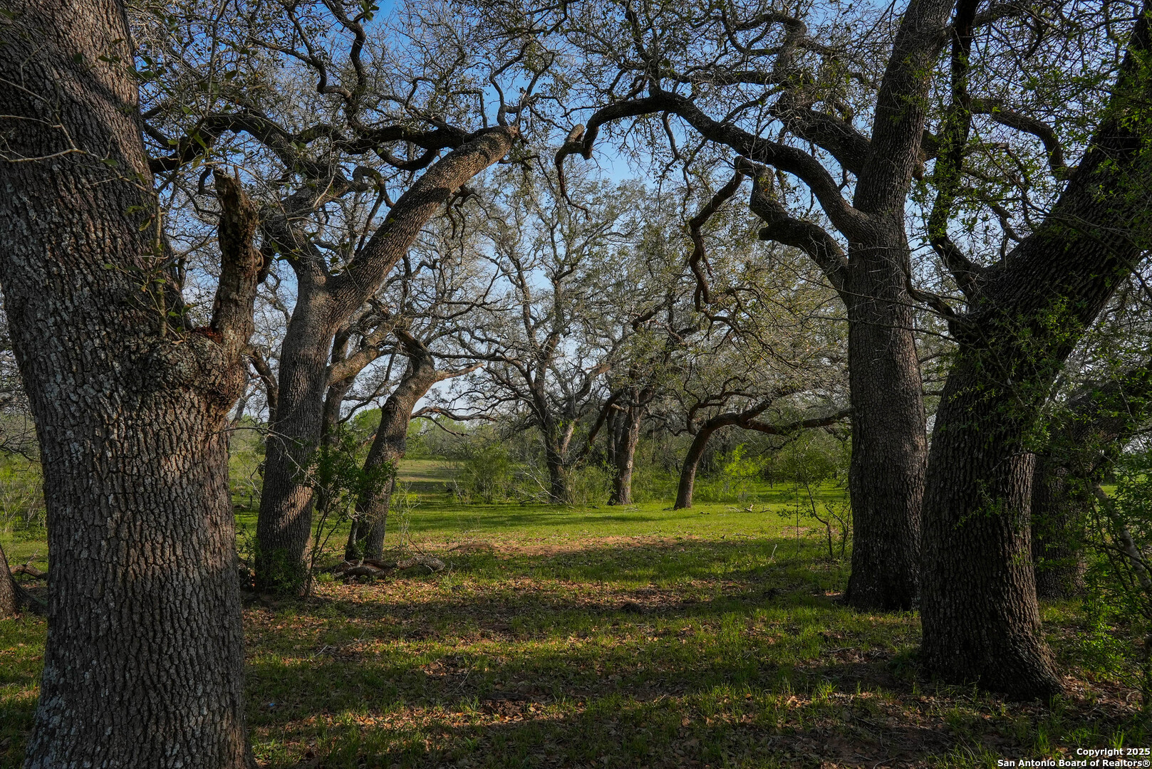 Tbd County Road 404 Floresville TX 78114