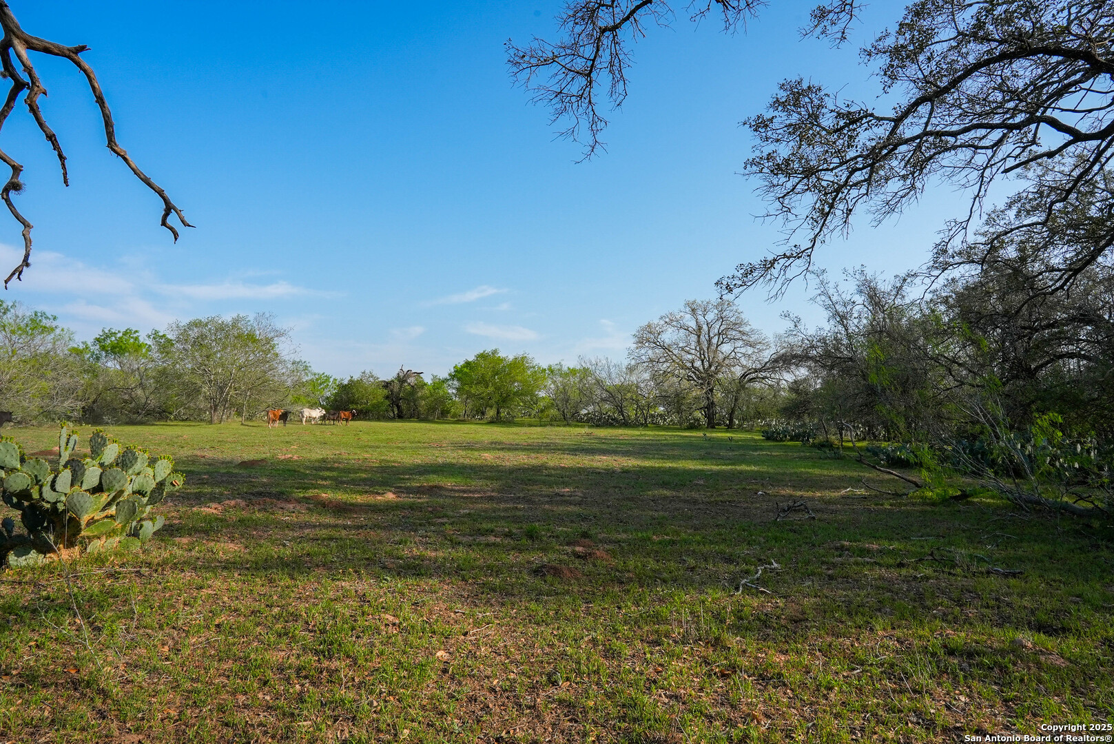 Tbd County Road 404 Floresville TX 78114