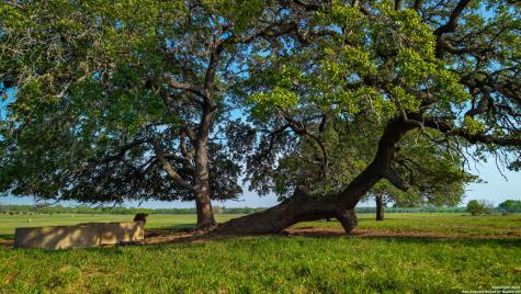 Tbd County Road 404 Floresville TX 78114