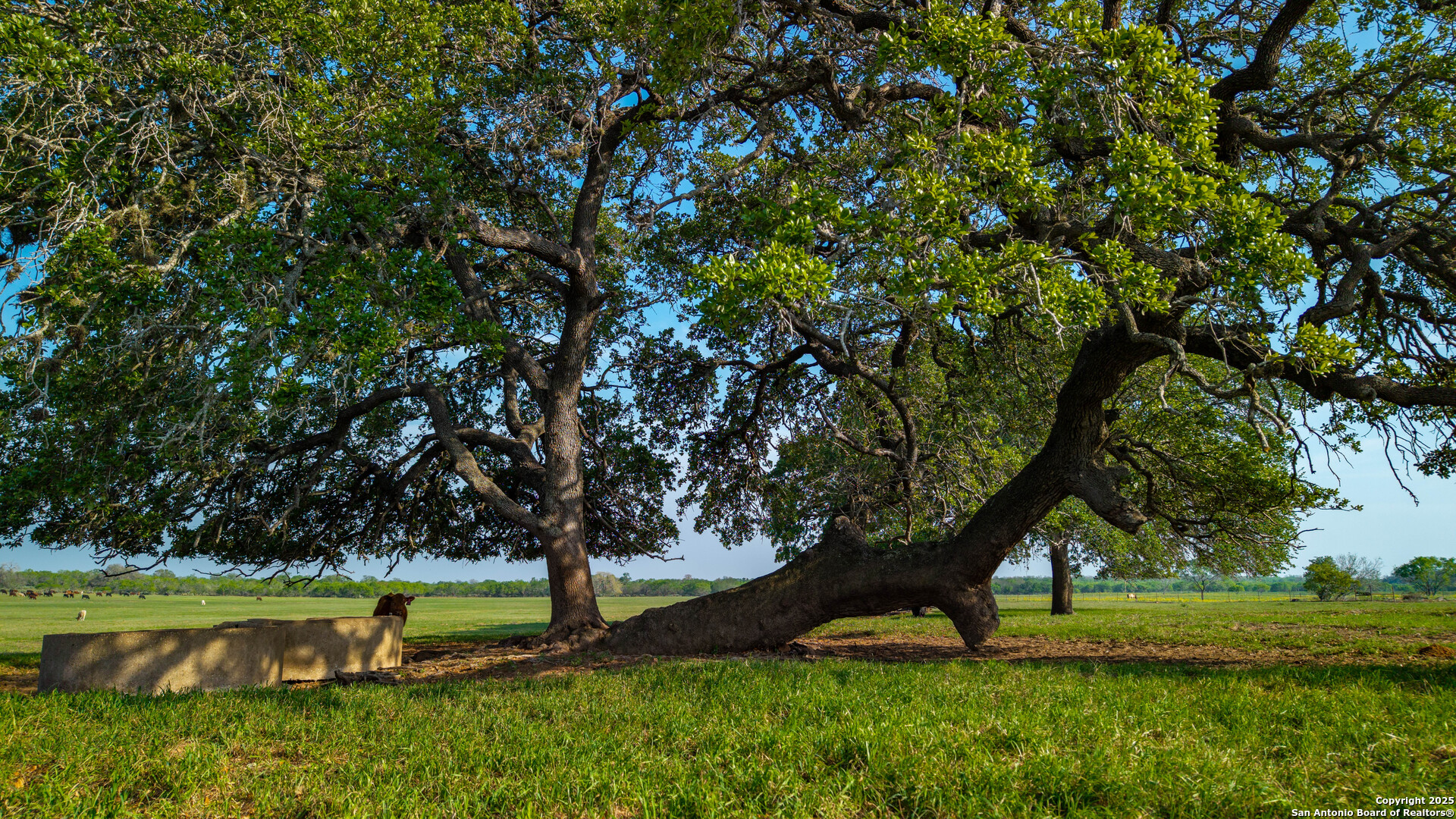 Tbd County Road 404 Floresville TX 78114