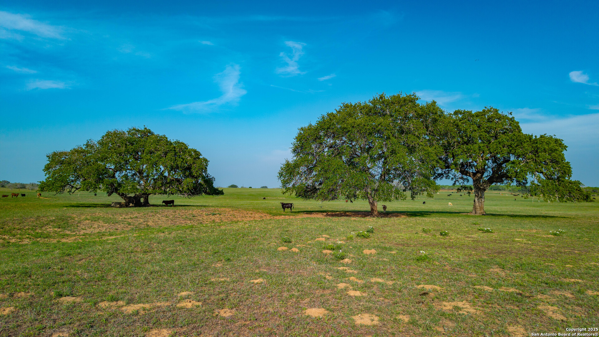 Tbd County Road 404 Floresville TX 78114