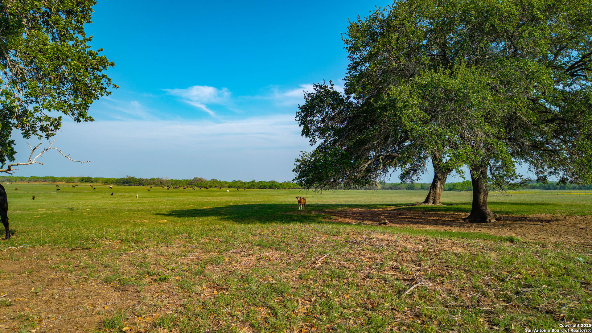 Tbd County Road 404 Floresville TX 78114