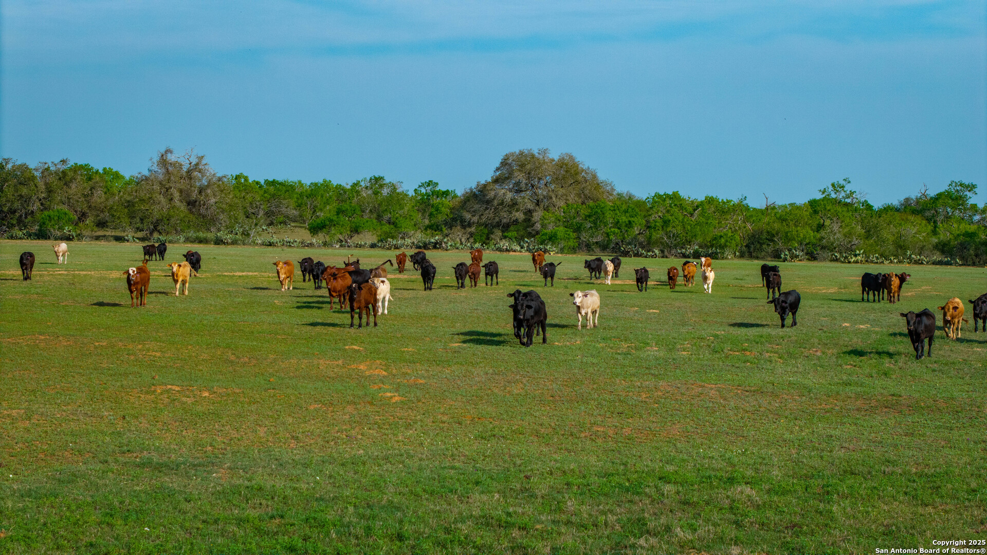 Tbd County Road 404 Floresville TX 78114