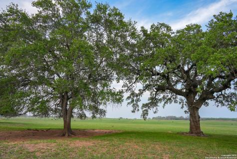 Tbd County Road 404 Floresville TX 78114